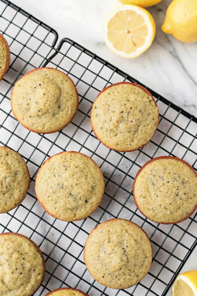 Lemon Chia Oat Muffins