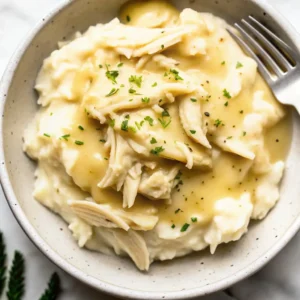 Shredded Chicken and Gravy